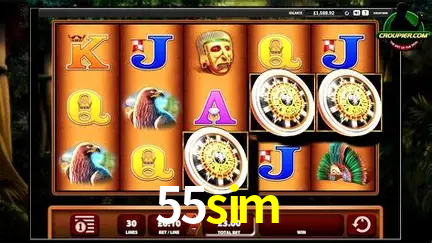 VIP Casino 55sim
